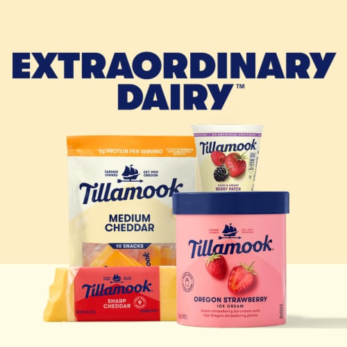 Tillamook Lemon Low Fat Yogurt Cup Perspective: left