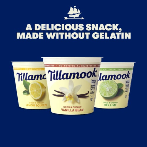Tillamook Low Fat Key Lime Good & Creamy Yogurt Perspective: left