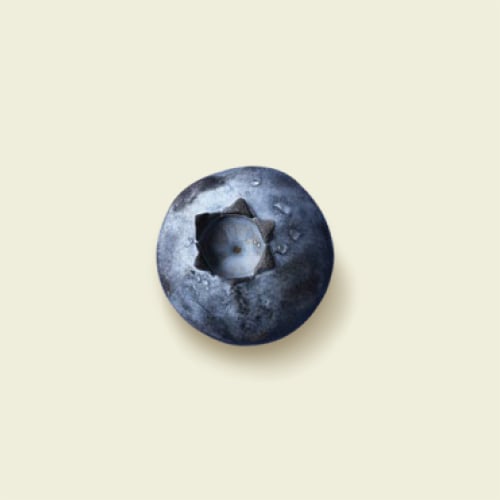 Tillamook Low Fat Oregon Blueberry Greek Yogurt Perspective: left