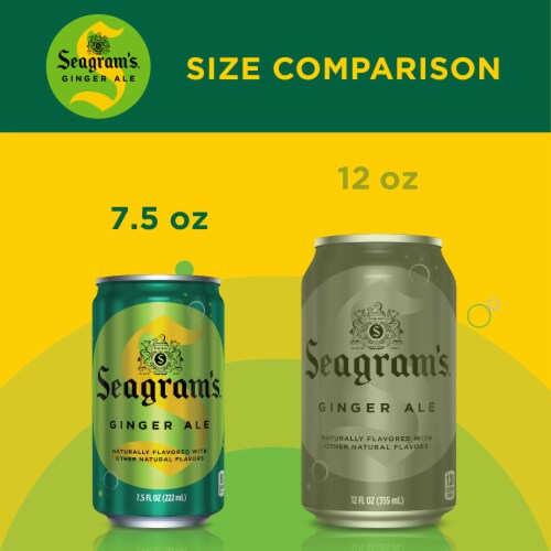 Seagram's® Ginger Ale Soda Mini Cans Perspective: left