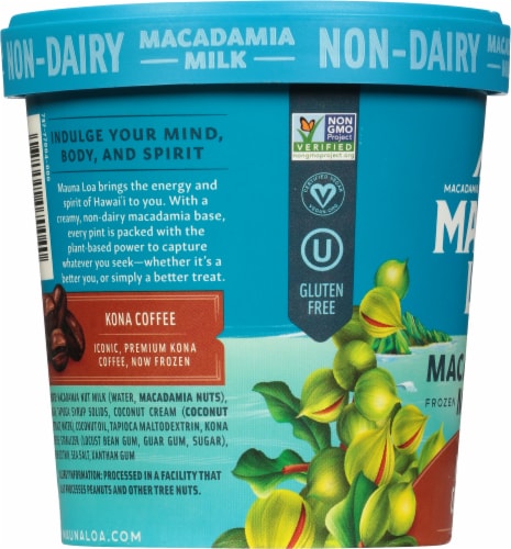 Mauna Loa Dairy Free Macadamia Milk Kona Coffee Frozen Dessert Pint Perspective: left