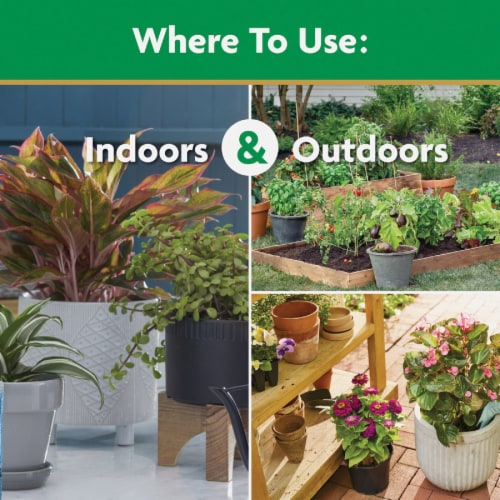 Miracle-Gro® All Purpose Plant Food Perspective: left
