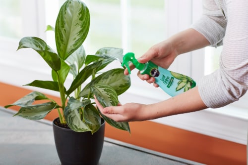 Miracle-Gro Leaf Shine Perspective: left