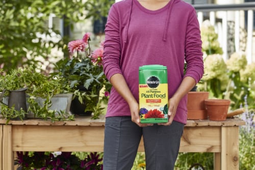 Miracle-Gro® All Purpose Plant Food Perspective: left