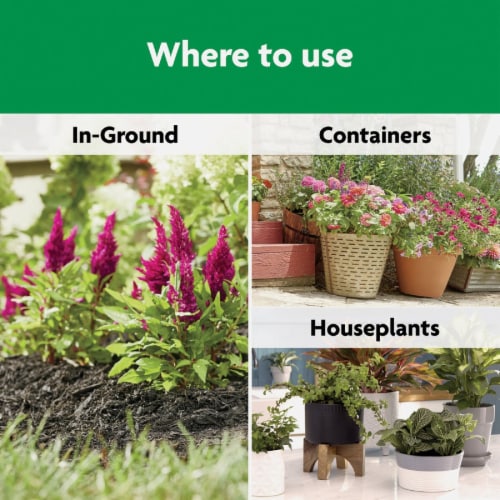 Miracle-Gro® Shake 'n Feed All-Purpose Dry Plant Food Perspective: left