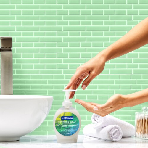 Softsoap Liquid Hand Soap Pump Soothing Aloe Vera Perspective: left