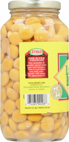 Ziyad Lupini Beans Perspective: left