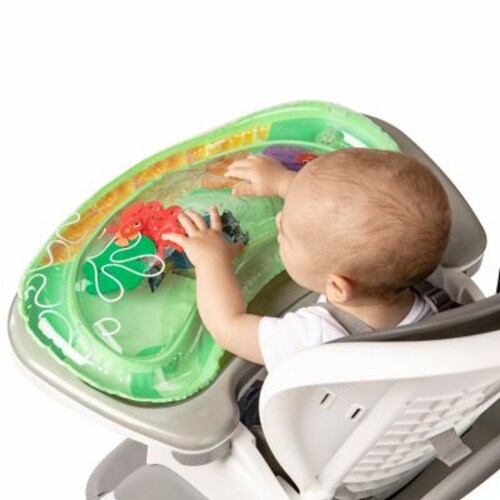 Baby einstein sea floor explorers 2 in 1 water mat play gym 1 unit