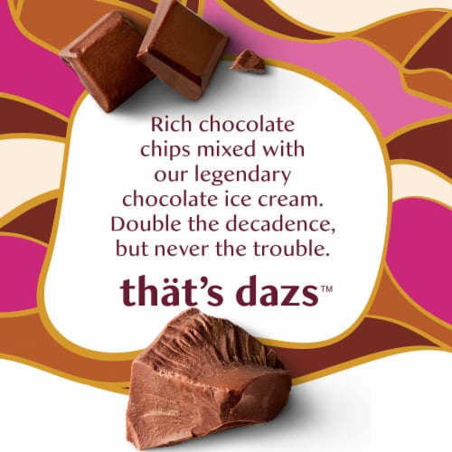 Haagen-Dazs Chocolate Chocolate Chip Ice Cream Perspective: left
