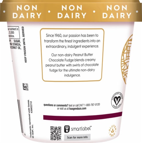Haagen-Dazs Dairy Free Peanut Butter Chocolate Fudge Frozen Dessert Perspective: left