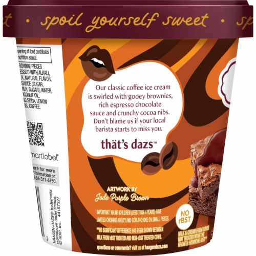 Haagen Dazs® Coffee Chocolate Brownie Ice Cream Perspective: left