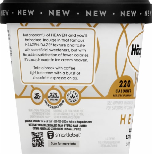 Haagen-Dazs Heaven Cold Brew Espresso Chip Light Ice Cream Perspective: left