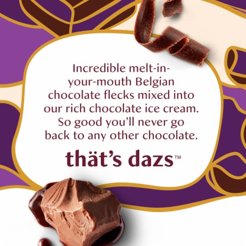Haagen-Dazs Double Belgian Chocolate Chip Ice Cream Perspective: left