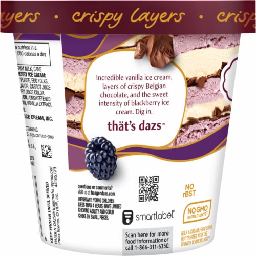 Haagen Dazs® Trio Vanilla Blackberry Chocolate Ice Cream Perspective: left