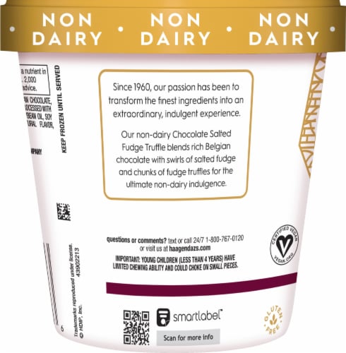 Haagen-Dazs Dairy Free Gluten Free Chocolate Salted Fudge Truffle Frozen Dessert Perspective: left