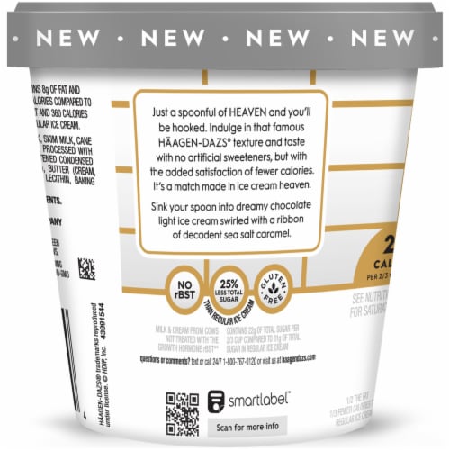 Haagen-Dazs Heaven Chocolate Sea Salt Caramel Light Ice Cream Perspective: left