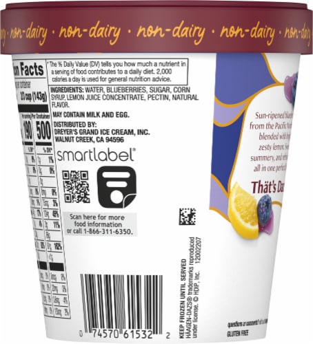 Haagen-Dazs® Non-Dairy Gluten Free Summer Blueberry & Lemon Sorbet Pint Perspective: left