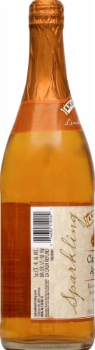 R.W. Knudsen Limited Edition Sparkling Caramel Apple Juice Perspective: left