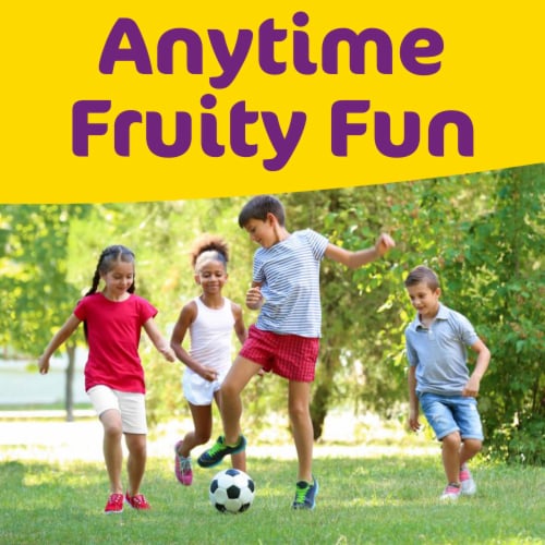 Little HUG Fruit Barrels Original Kids Drinks Variety Pack 20 bottles 8 fl oz Jay C Food Stores