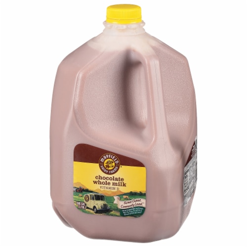 Mayfield Vitamin D Whole Chocolate Milk Perspective: left