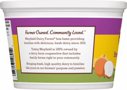 Mayfield Dairy Farms® French Onion Dip Perspective: left