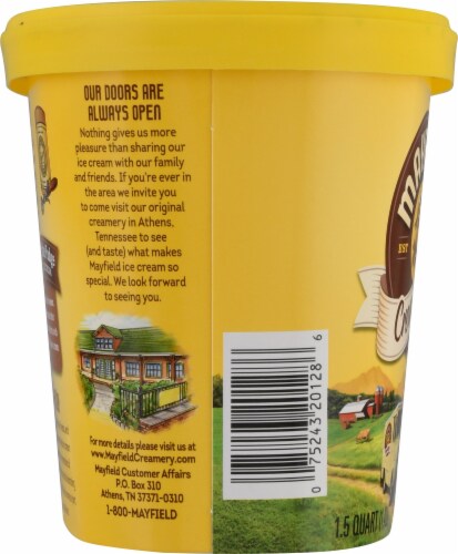 Mayfield™ Peanut Butter Fudge Ice Cream Perspective: left