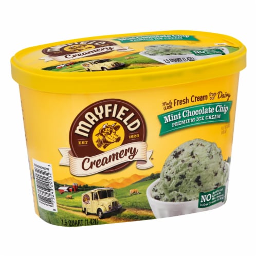 Mayfield Creamery® Mint Chocolate Chip Ice Cream Tub Perspective: left