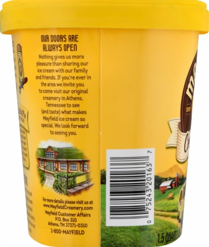 Mayfield Lemon Ice Box Pie Ice Cream Perspective: left