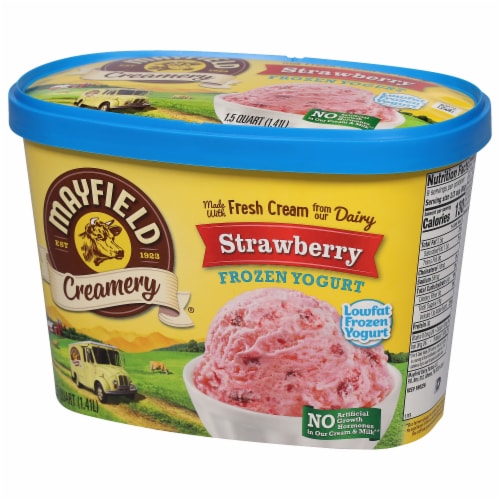 Mayfield Creamery Lowfat Strawberry Frozen Yogurt Perspective: left