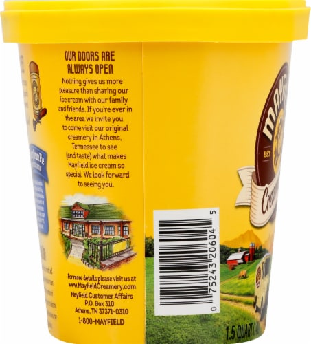 Mayfield® Blueberry Cream Pie Ice Cream Perspective: left