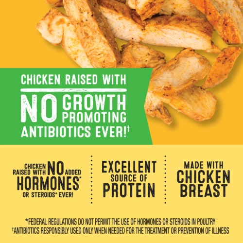 Foster Farms Boneless & Skinless Grilled Strips Southwestern Seasoned Grilled Strips Perspective: left