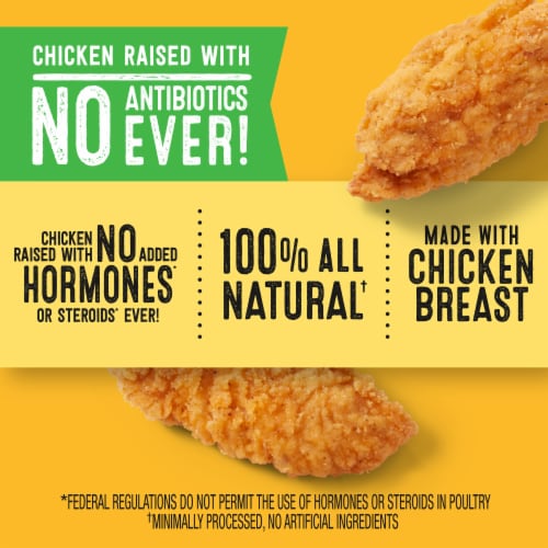 Foster Farms Classic Crispy Chicken Strips, 24 Oz Perspective: left