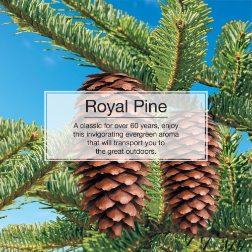 Little Trees® Royal Pine Air Freshener - Green Perspective: left