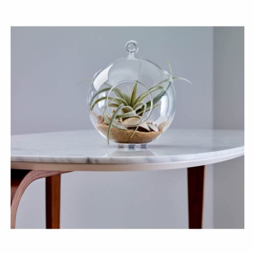 Scotch® Round Bumpers - Clear Perspective: left