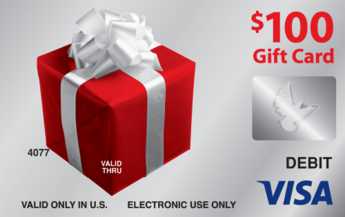 Visa $100 Gift Card ($5.95 activation fee) Perspective: left