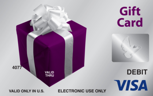 Visa VISA GIFT CARD $20-$500 1 CT, Gift Cards