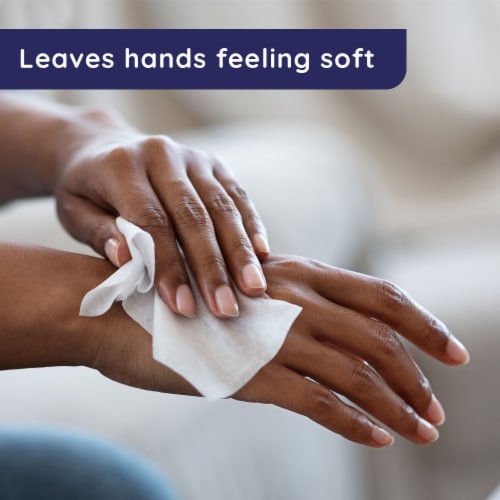 Wet Ones Hand Wipes Tropical Splash Scent Antibacterial Perspective: left