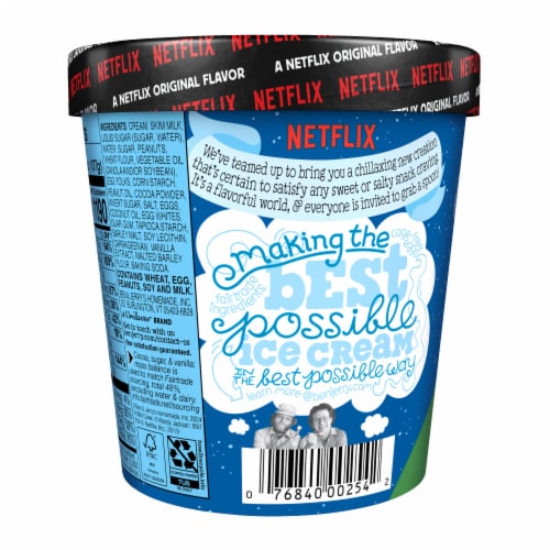 Ben & Jerry's Non-GMO Netflix and Chilll'd Peanut Butter with Pretzel and Brownies Ice Cream Perspective: left