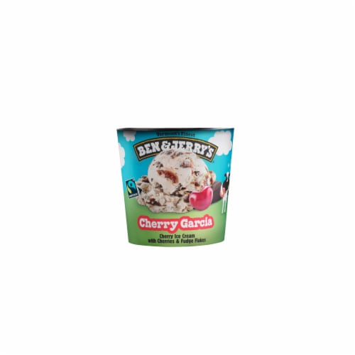 Ben & Jerry's Chocolate Fudge Brownie Chocolate with Fudge Brownies Mini Ice Cream Cups Perspective: left