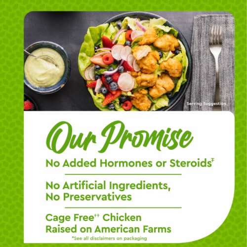 Just Bare Fully Cooked Bnls Sknl Lightly Breaded Chicken Breast Bites Perspective: left