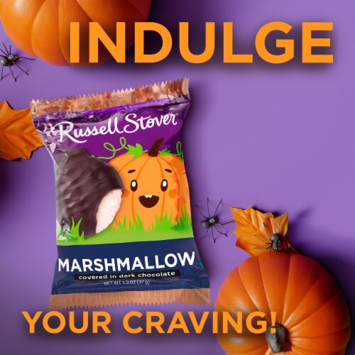 RUSSELL STOVER Halloween Dark Chocolate Marshmallow Candy Pumpkin Perspective: left