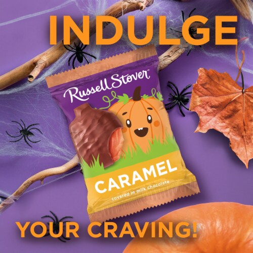 RUSSELL STOVER Halloween Milk Chocolate Caramel Candy Pumpkin, 1.3 oz Perspective: left