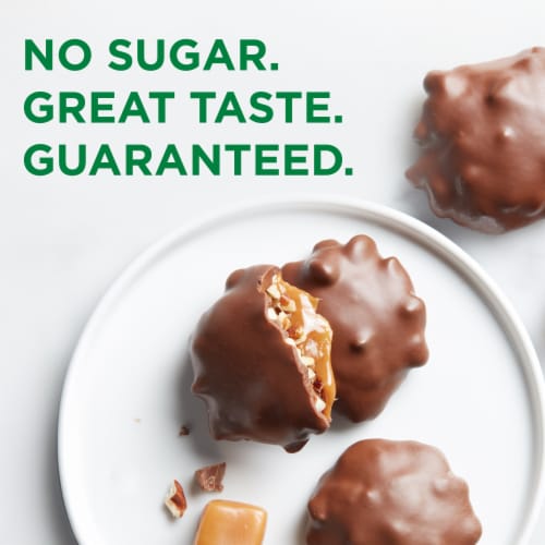 RUSSELL STOVER Sugar Free Pecan Delight Chocolate Candy, 2.4 oz bag Perspective: left