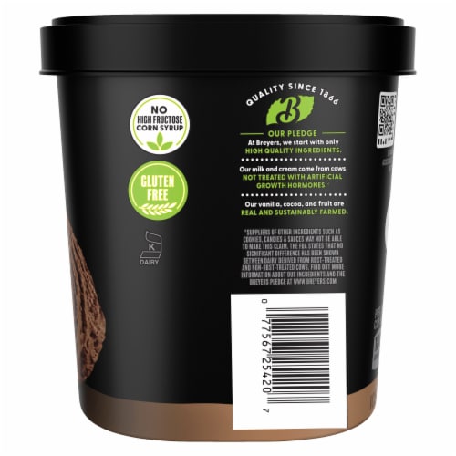 Breyers Chocolate Ice Cream Tub Perspective: left