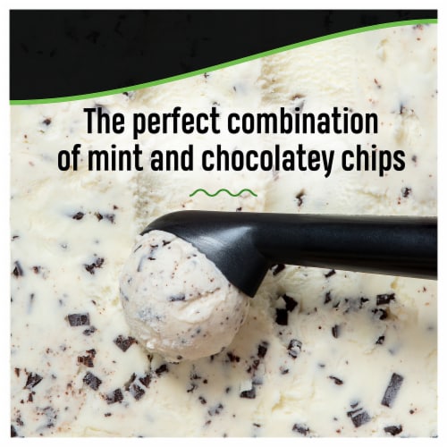 Breyers Mint Chocolate Chip Ice Cream Tub Perspective: left