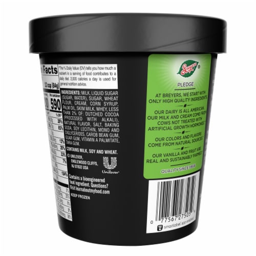 Breyers Cookies & Cream Frozen Dairy Dessert Pint Perspective: left