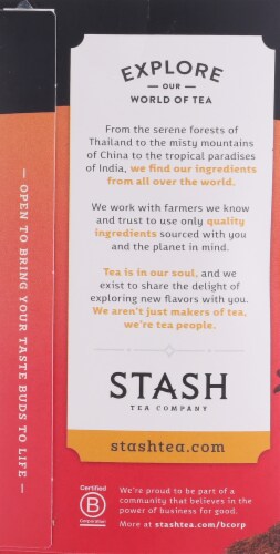 Stash Caffeine Free Spice Dragon Red Chai Herbal Tea Perspective: left