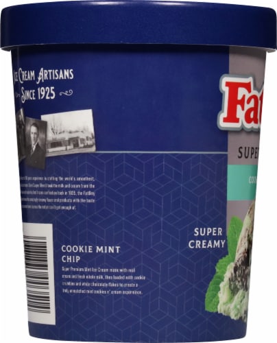 Fatboy® Cookie Mint Chip Ice Cream Tub Perspective: left