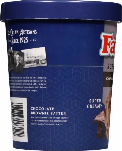 FatBoy® Double Chocolate Brownie Batter Ice Cream Tub Perspective: left