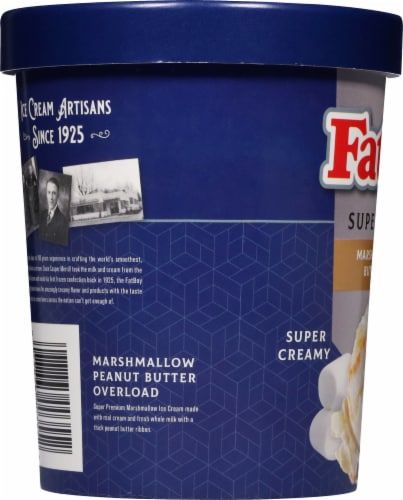 FatBoy® Marshmallow Peanut Butter Overload Ice Cream Tub Perspective: left